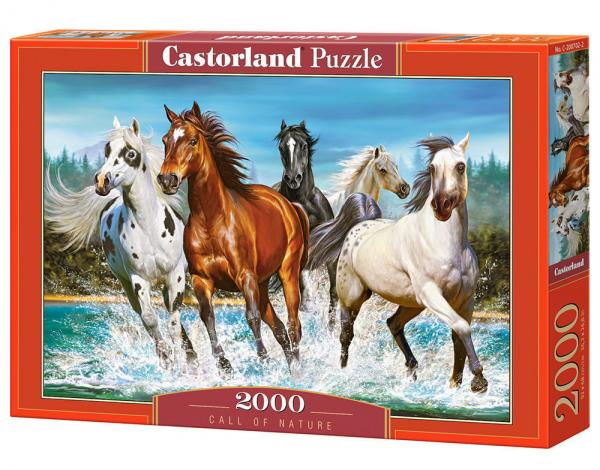 CASTORLAND CALL OF NATURE 2000 PCE