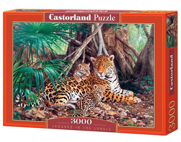 CASTORLAND JAGUARS IN THE JUNGLE