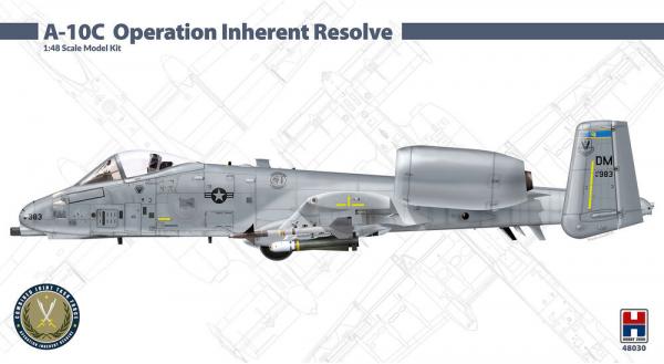 HOBBY 2000 1/48 A-10C O.I.R