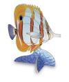 WOODEN BUTTERFLY FISH KIT