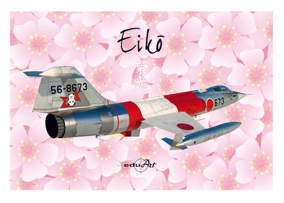 EDUARD EIKO F-104J STARFIGHTER 1/48 LTD